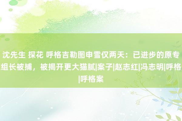 沈先生 探花 呼格吉勒图申雪仅两天：已进步的原专案组长被捕，被揭开更大猫腻|案子|赵志红|冯志明|呼格案