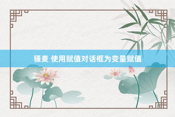 骚麦 使用赋值对话框为变量赋值