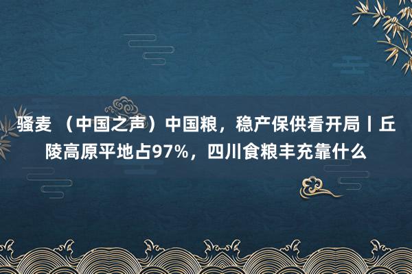 骚麦 （中国之声）中国粮，稳产保供看开局丨丘陵高原平地占97%，四川食粮丰充靠什么