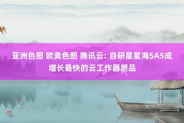 亚洲色图 欧美色图 腾讯云: 自研星星海SA5成增长最快的云工作器居品