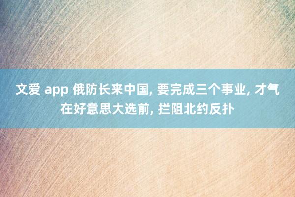 文爱 app 俄防长来中国， 要完成三个事业， 才气在好意思大选前， 拦阻北约反扑