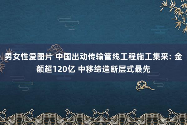 男女性爱图片 中国出动传输管线工程施工集采: 金额超120亿 中移缔造断层式最先